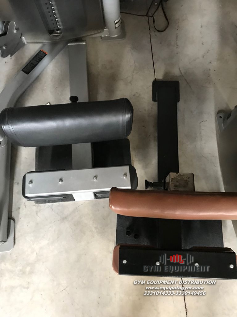 Sentadilla Sissy Precor Icarian