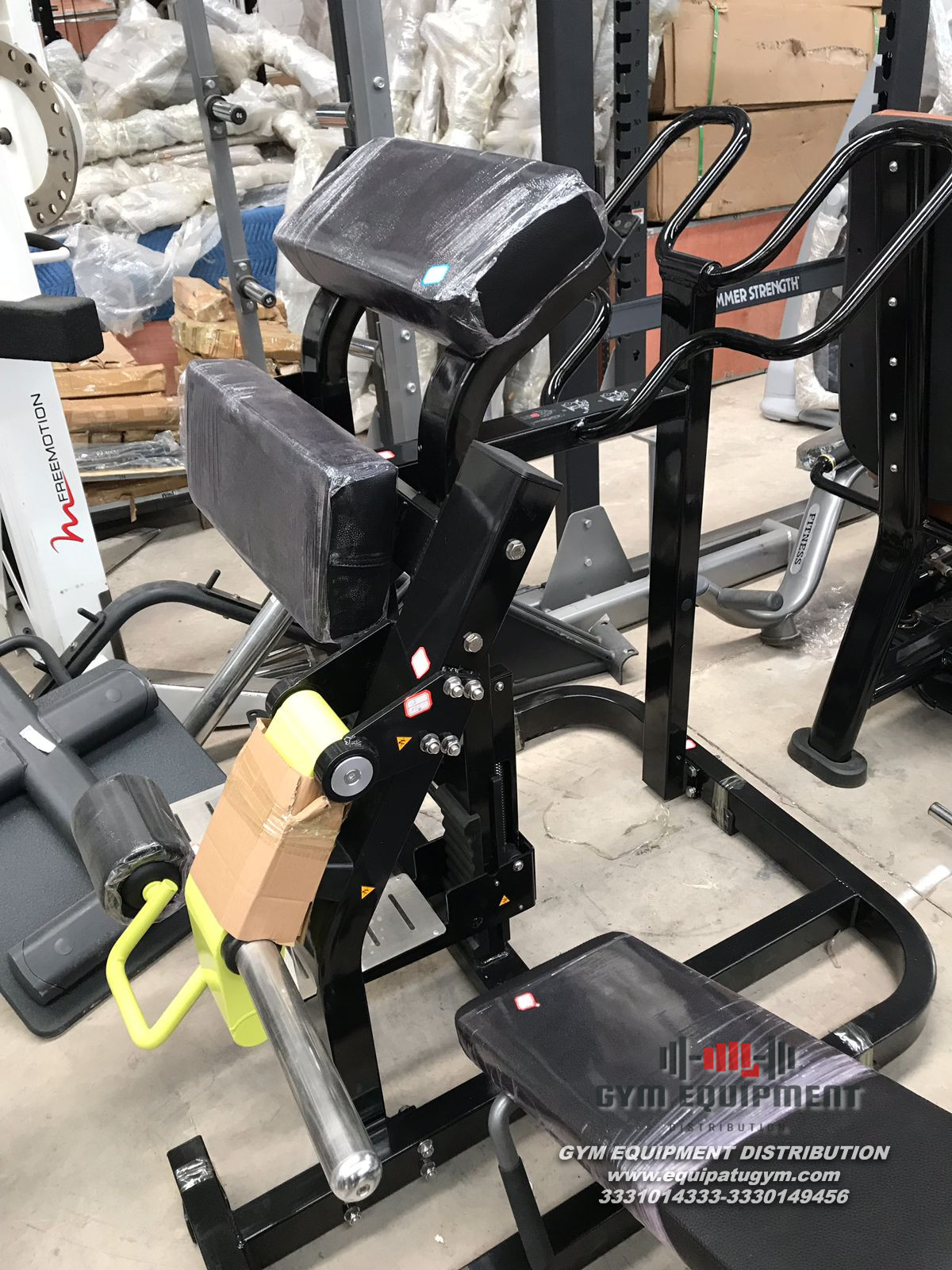 Femoral Parado Peso Libre