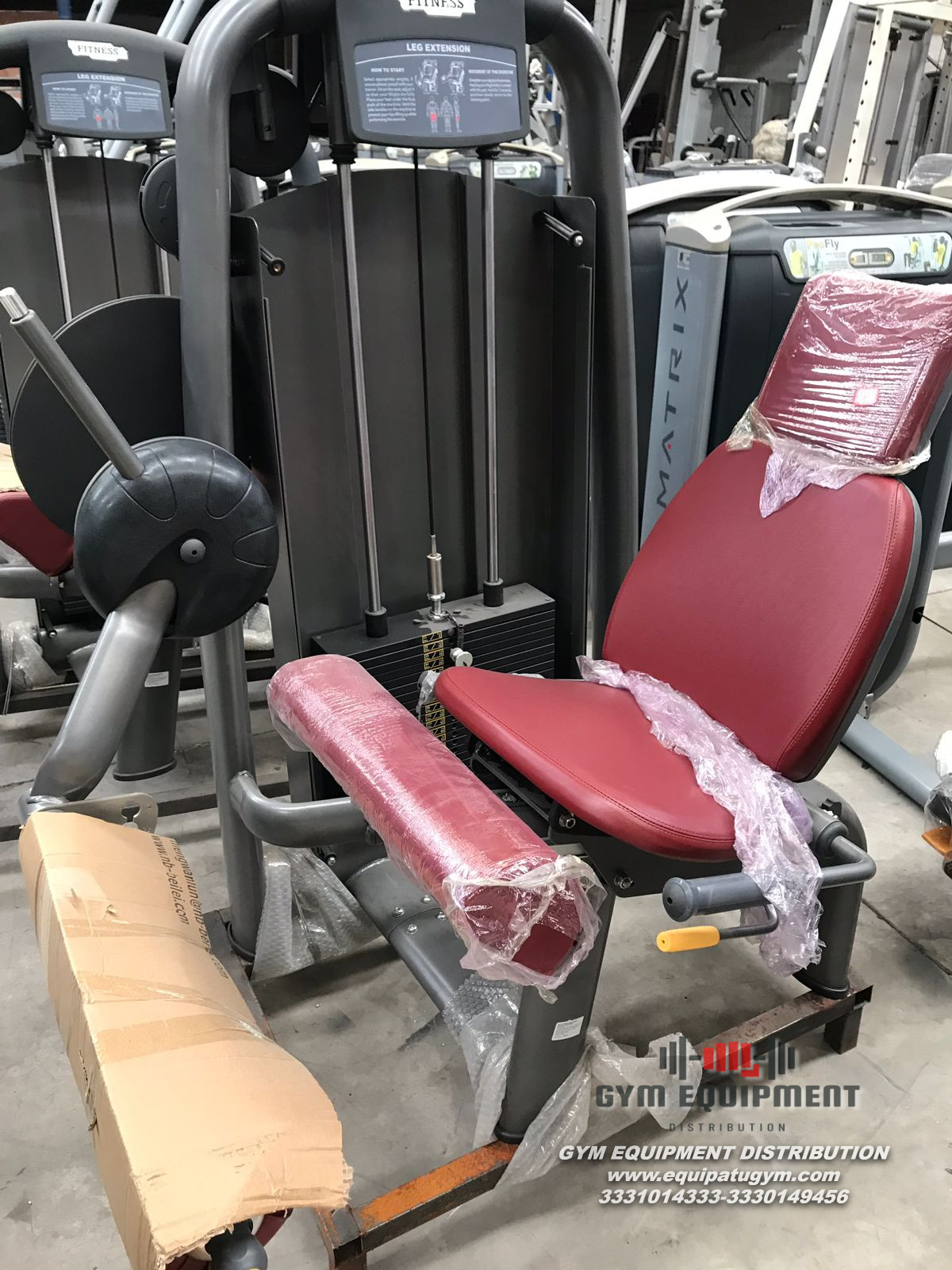 Leg Extension Nuevo