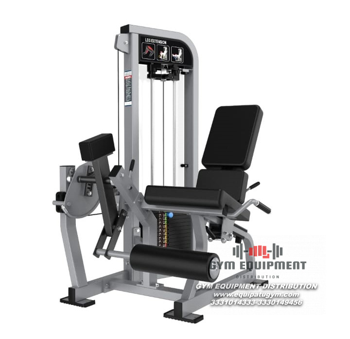 Leg Extension tipo Lifefitness Pro 2